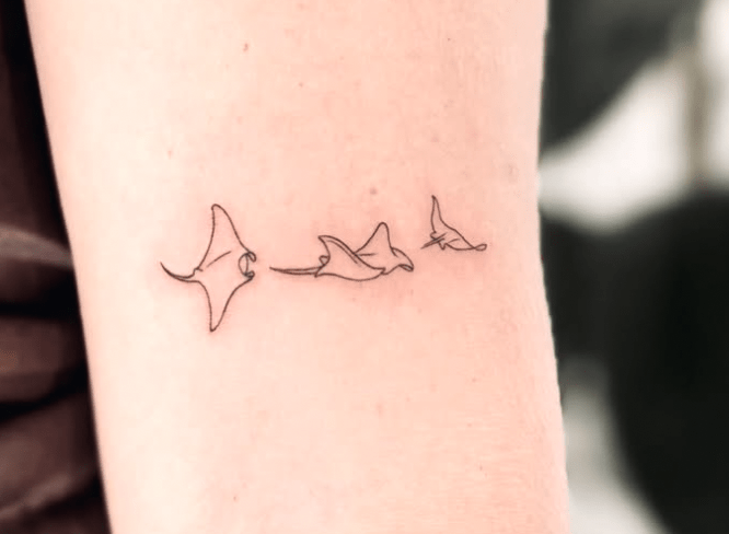 The Ocean & Minimalist Waves